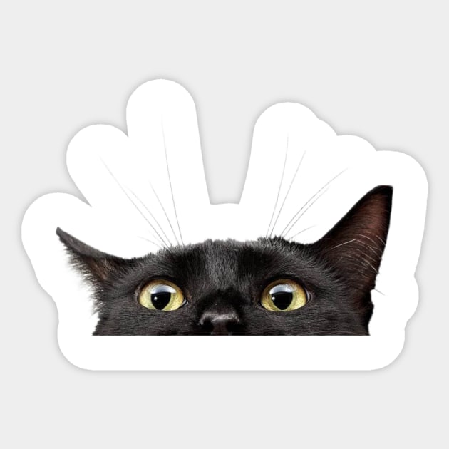 funny black cat hiding Sticker by LaRaf97